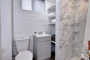 Full Bathroom on the lower level