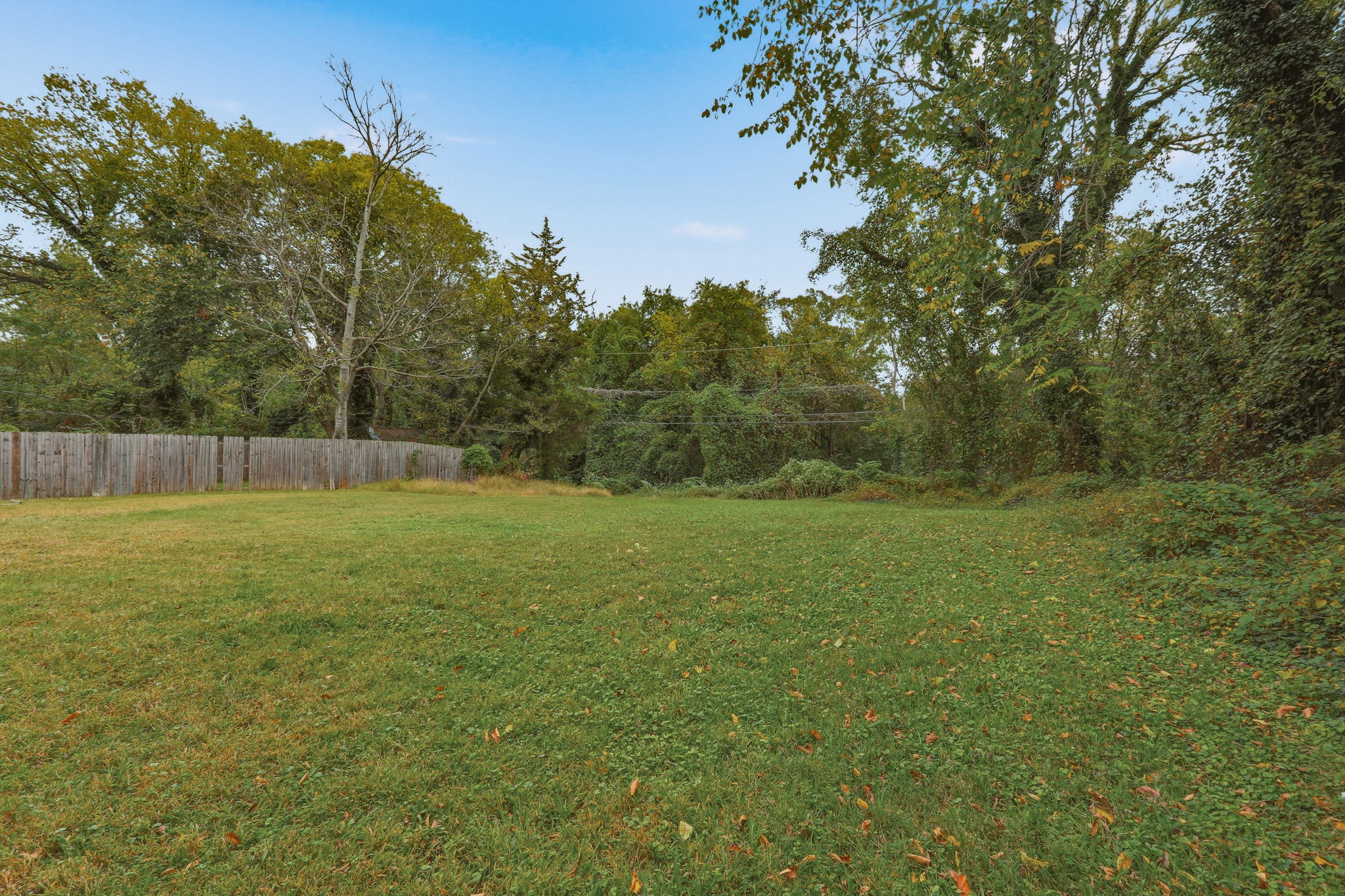 37-Backyard