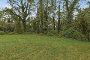 38-Backyard