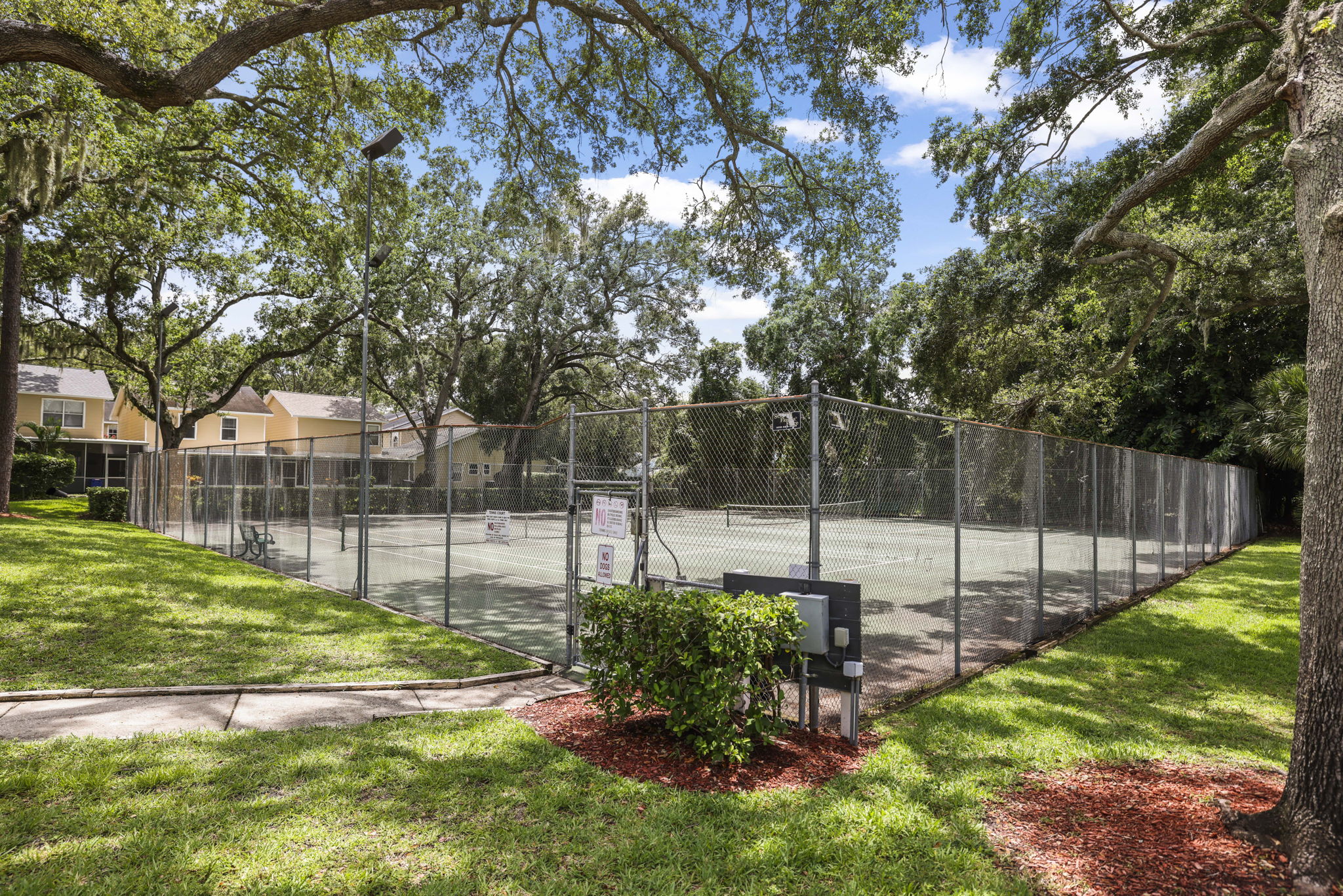 Community Tennis - 495A0159