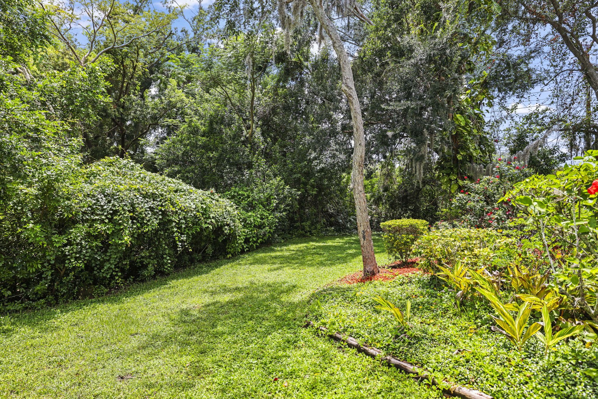 Side Yard - 495A0116