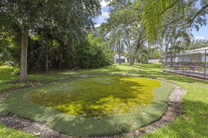 Community Putting Green - 495A0157