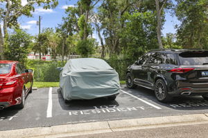 Parking Spot - 495A0128