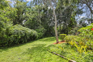 Side Yard - 495A0116
