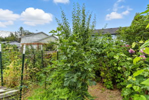  Photo 46