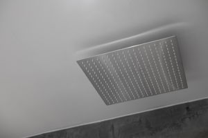  Photo 100