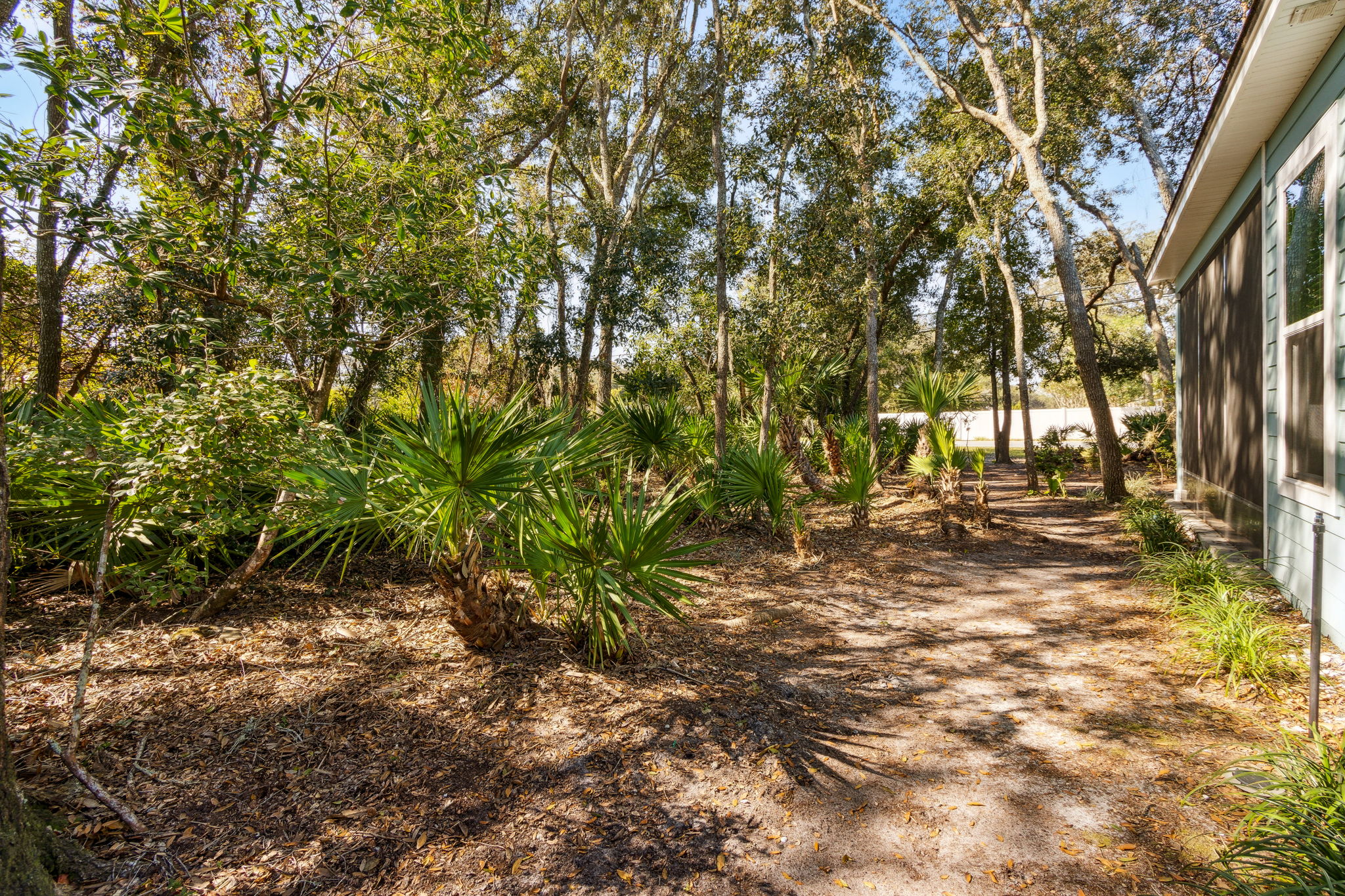Backyard