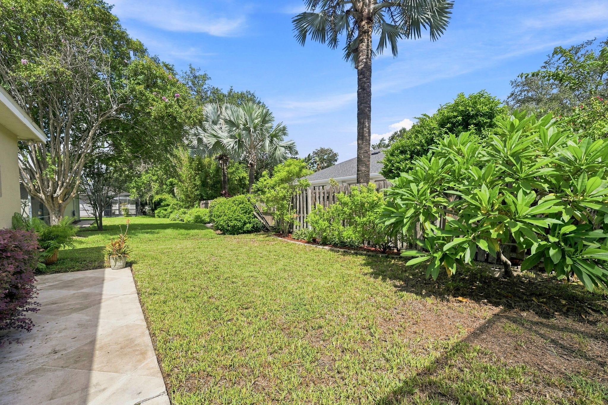 Backyard1