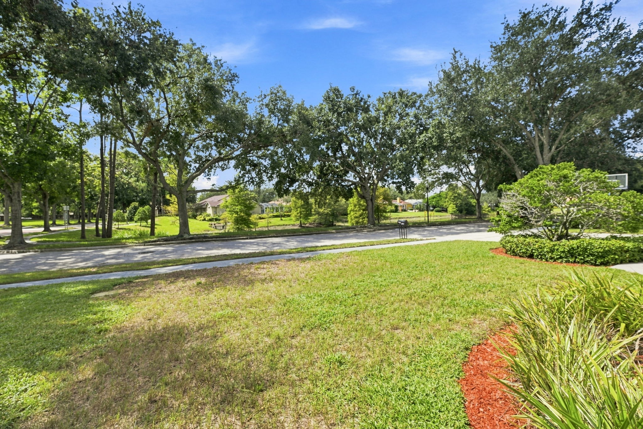 Frontyard