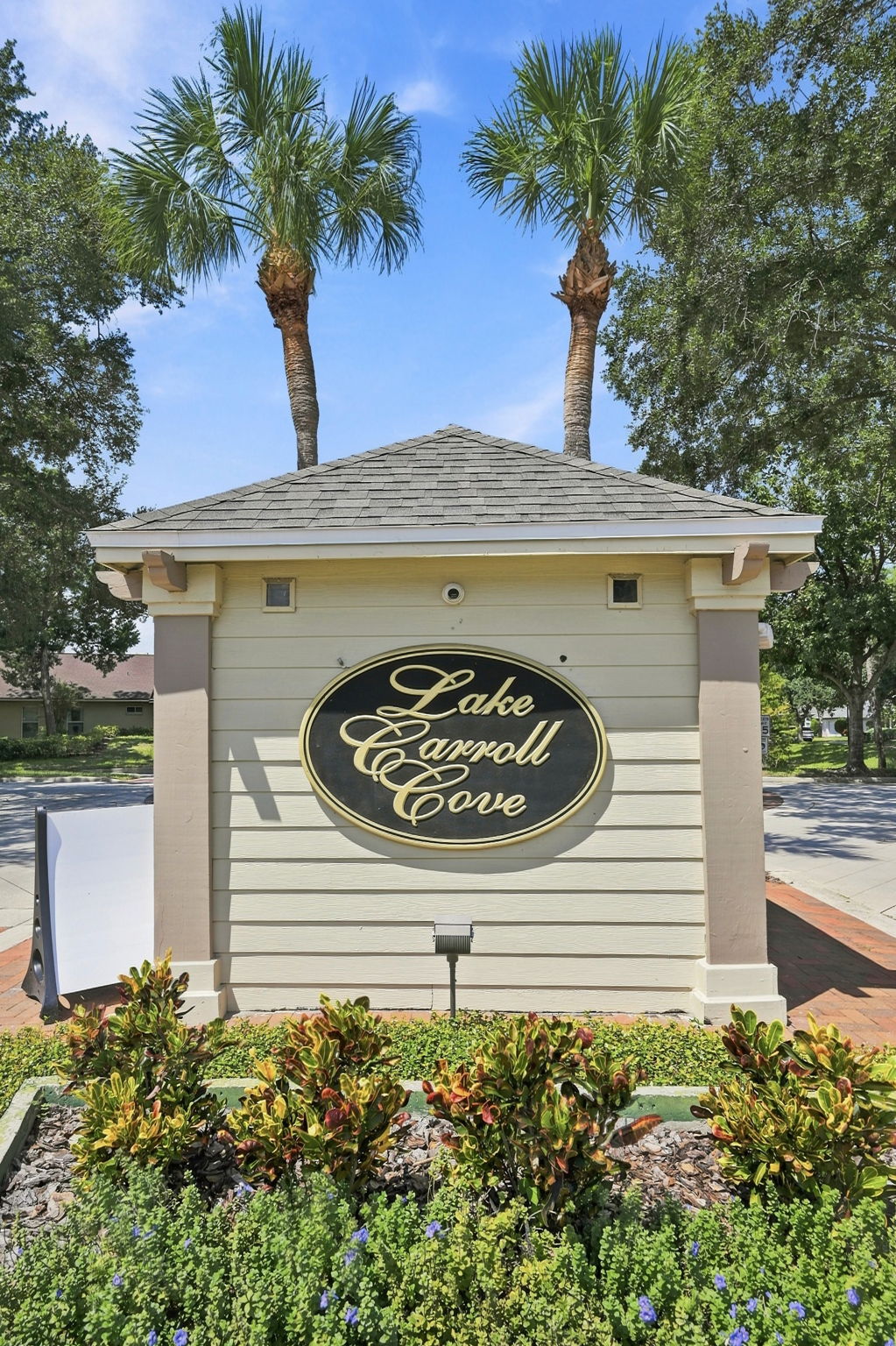 Lake Carroll Cove3