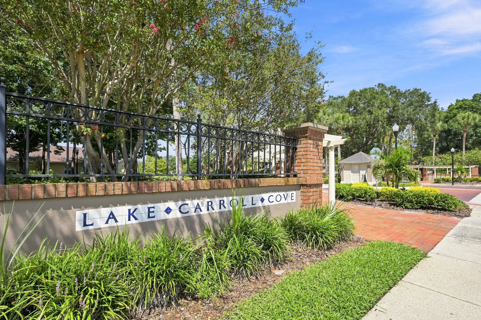 Lake Carroll Cove7