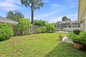 Backyard4