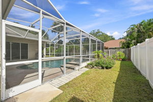 Backyard5