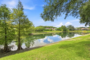 Frontyard View