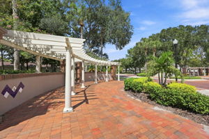 Lake Carroll Cove6