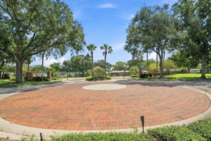 Lake Carroll Cove8
