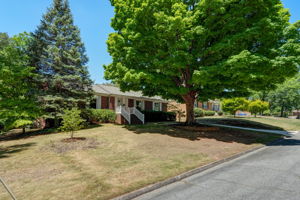 Front Yard
