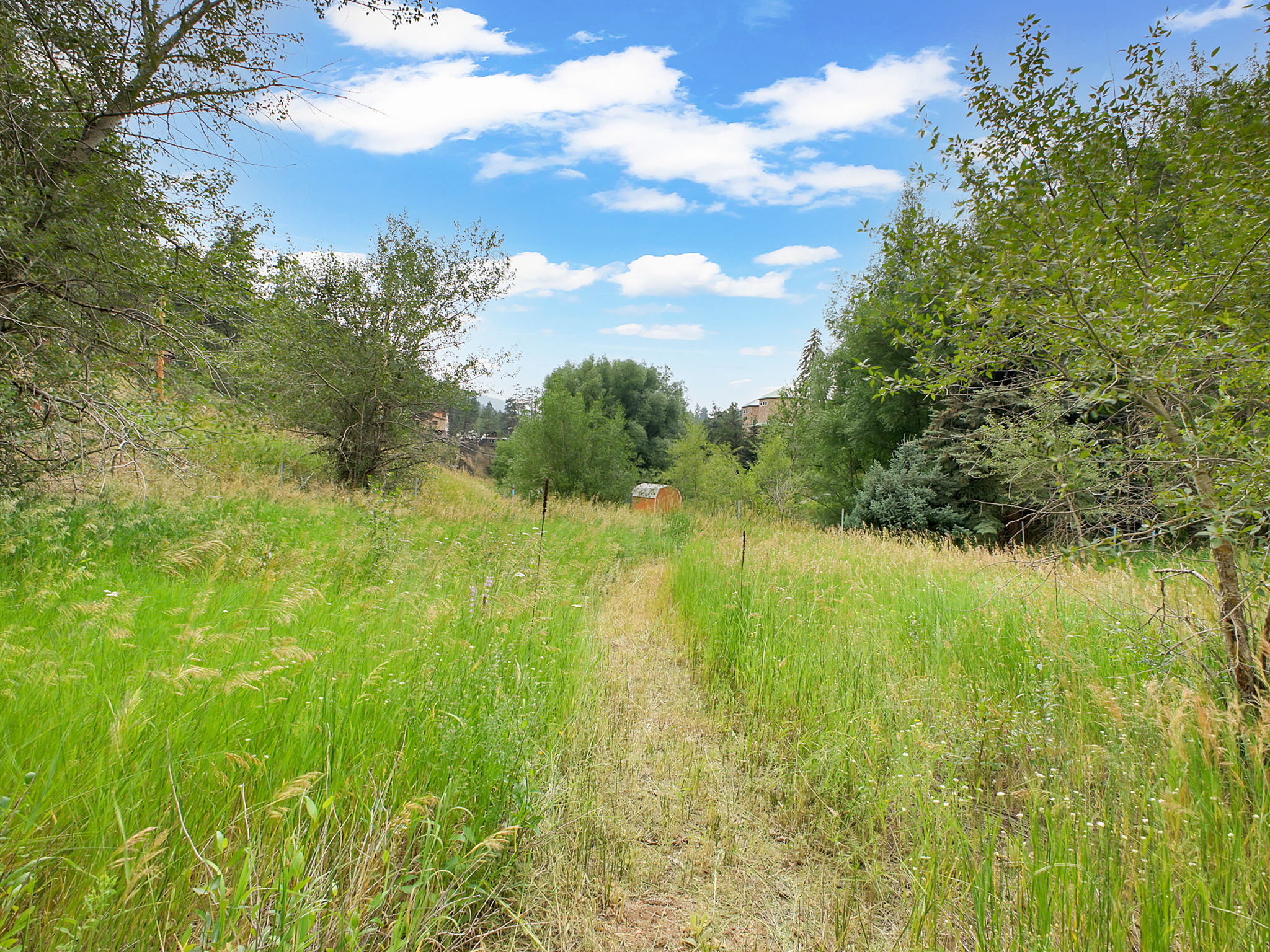 Trails run throughout the property too!