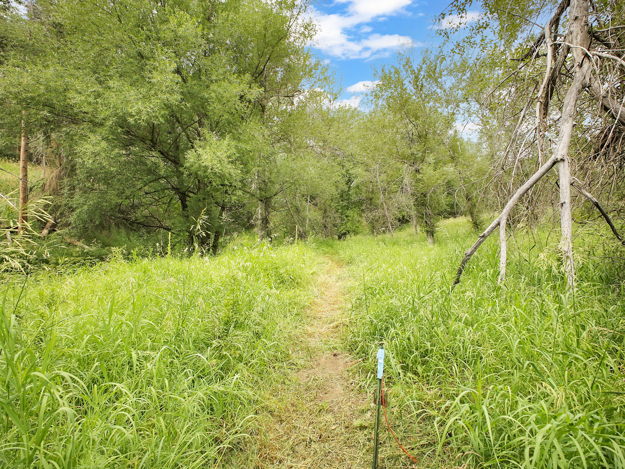 Property contains property and floodplain markers.