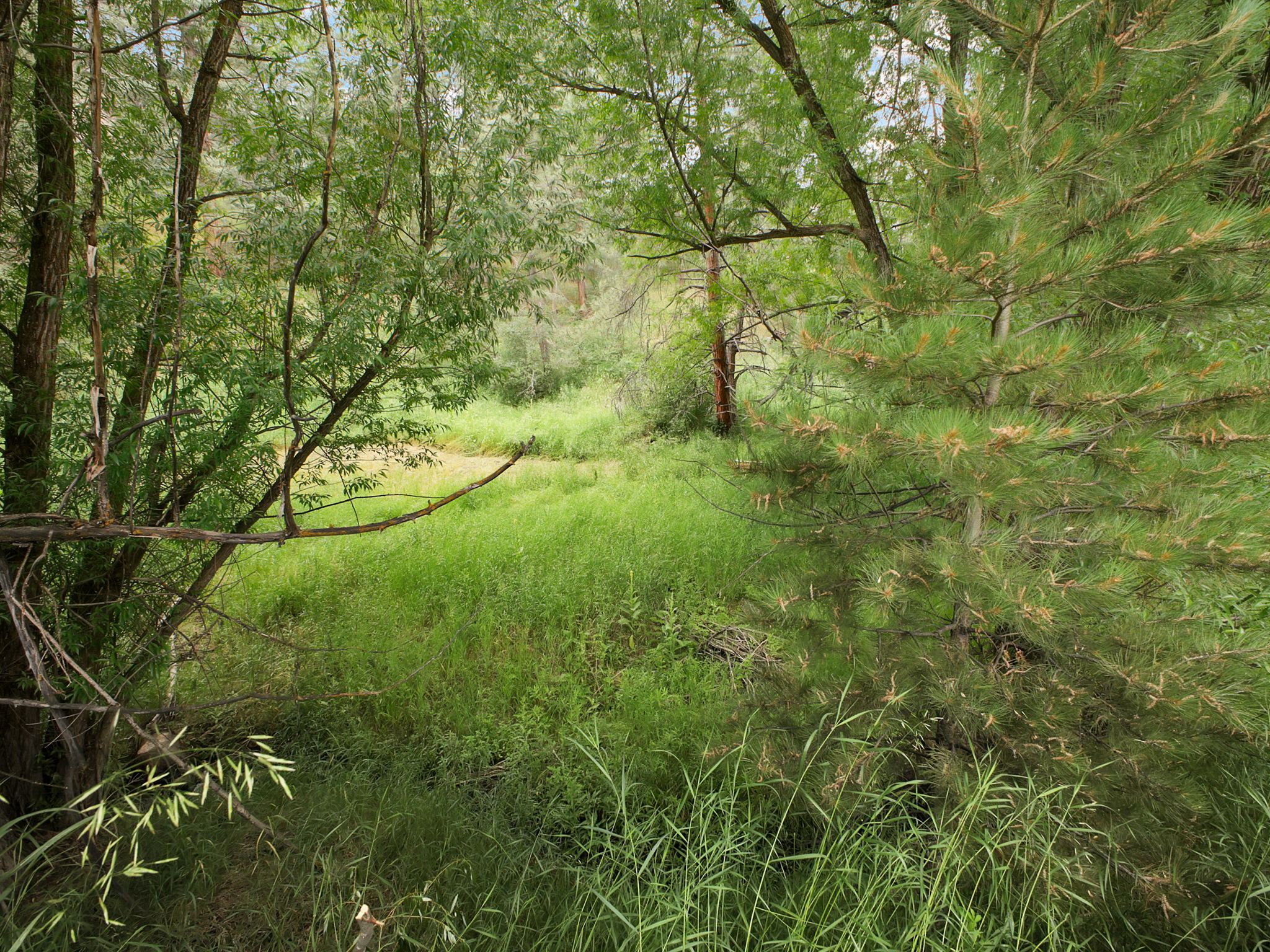 Where you can discover nature...