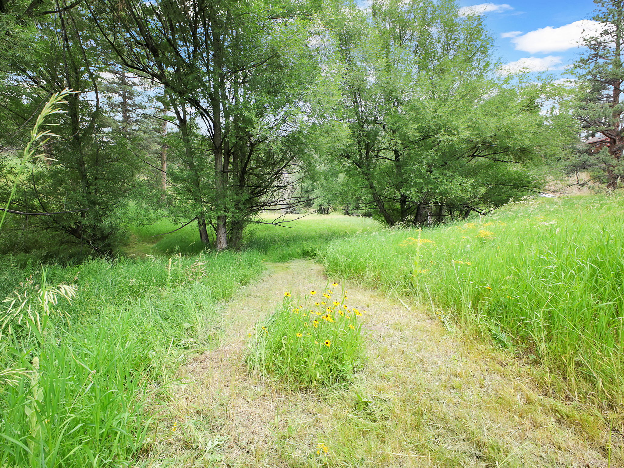 Grasses, wildflowers, and a variety of trees make up the land.