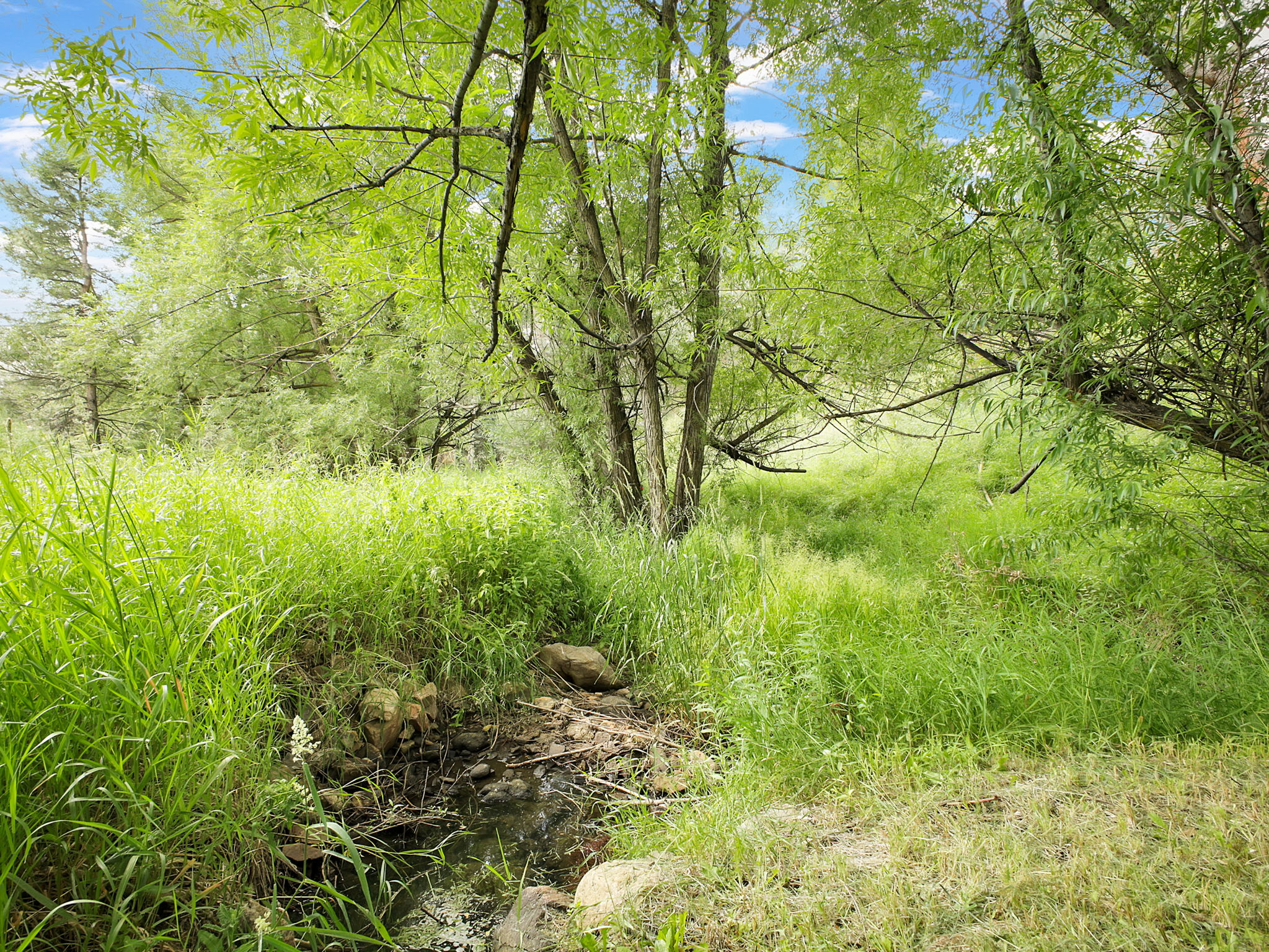With a creek running through the property too.
