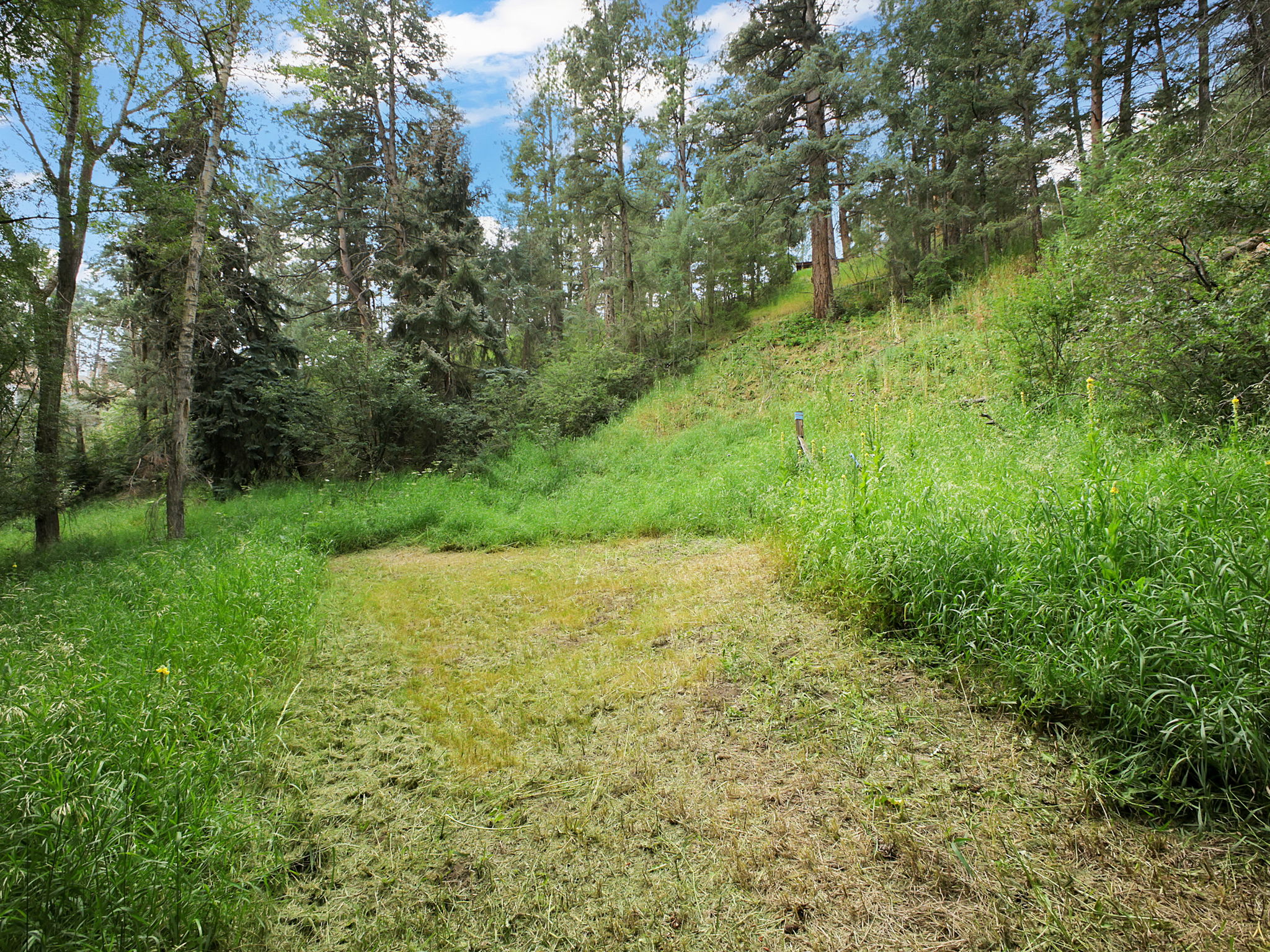 Flat areas on both sides of the gulch.