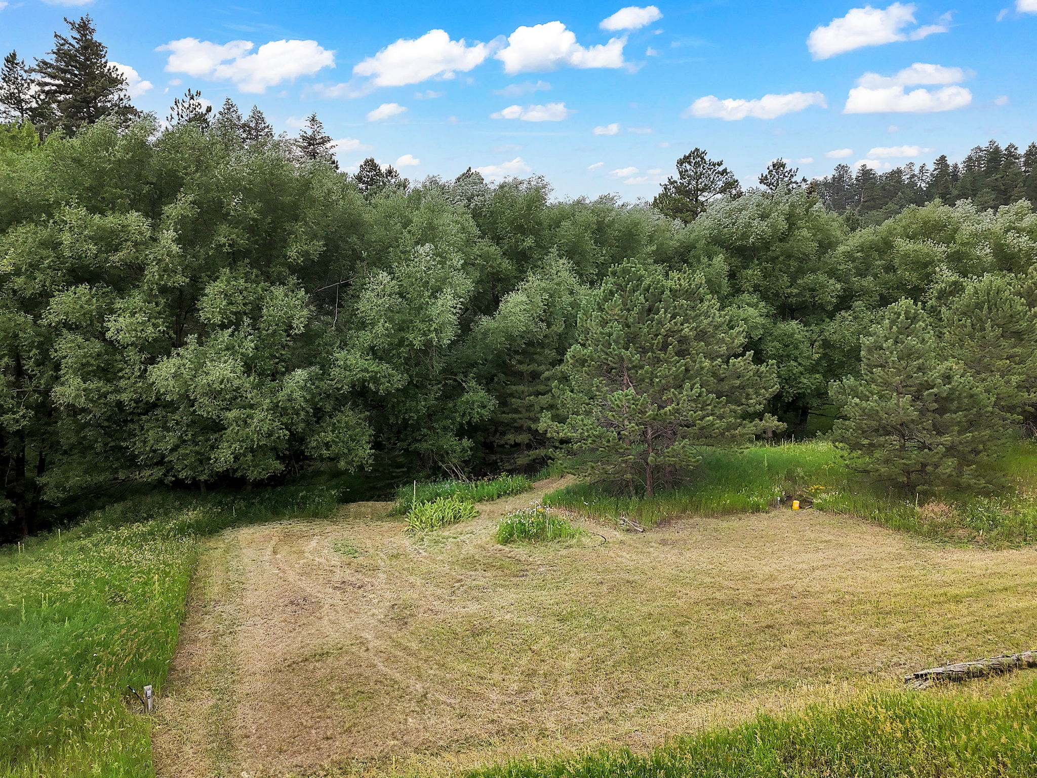 Amazing  flat, buildable lot.