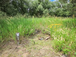 Property features electric service to the lot.