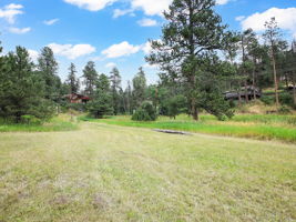 Lush meadow on the property.