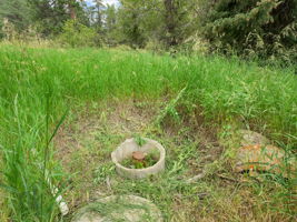 Property features two wells.