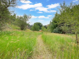 Trails run throughout the property too!