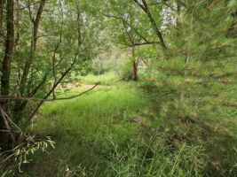 Where you can discover nature...