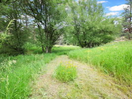 Grasses, wildflowers, and a variety of trees make up the land.