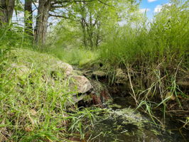 Provides water year-round!