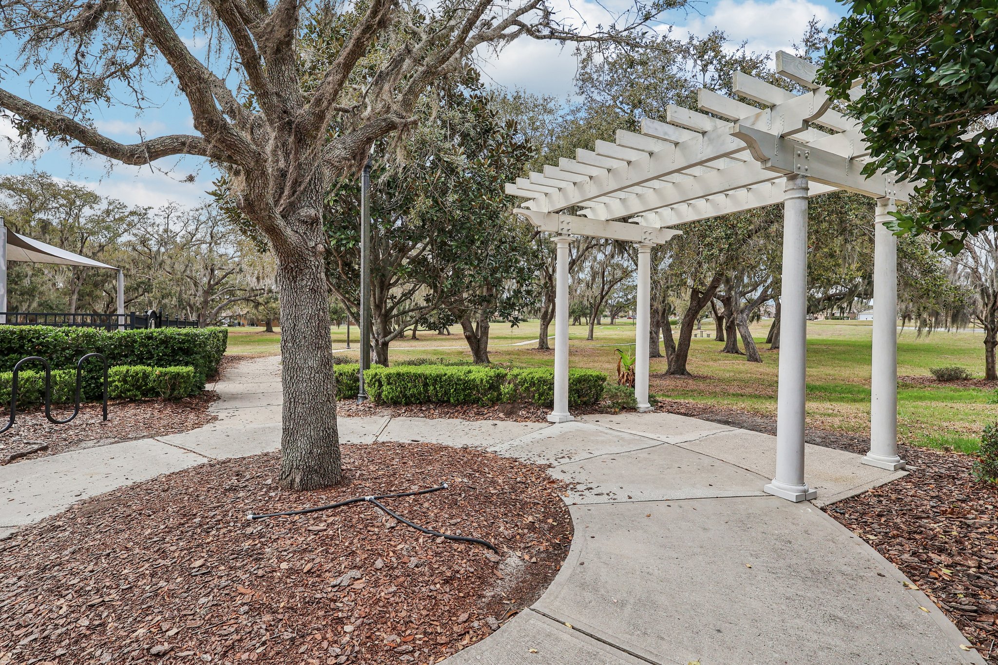 Congress Ln-0203-905.jpg