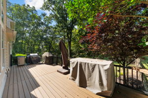 Rear Deck