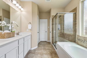 Downstairs Primary Bathroom