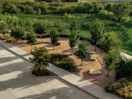 Community Park
