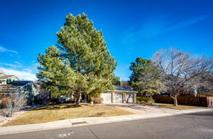 With A Southwest Facing Driveway