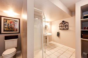Basement Bath
