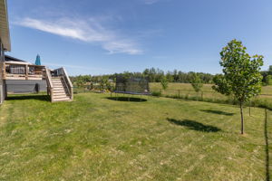 31-Back View