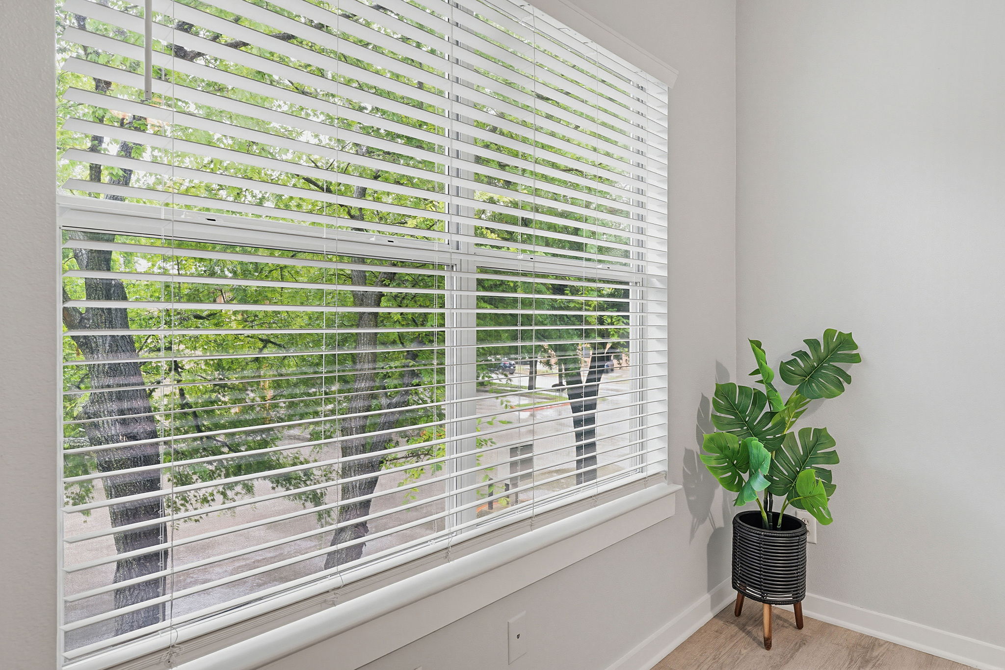 Bedroom has a peaceful tree-top view