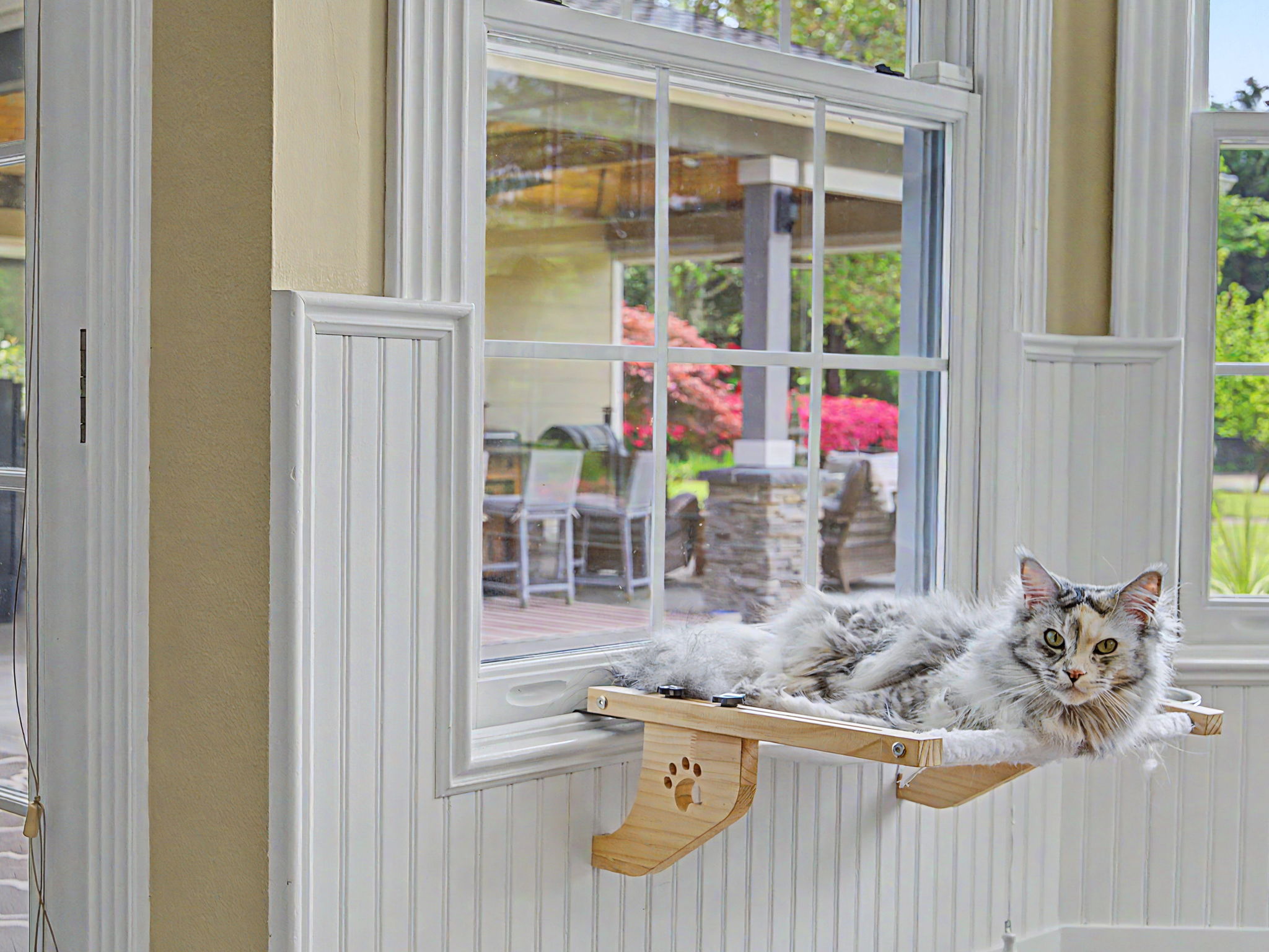 One of our favorite kitchen pals!