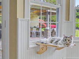 One of our favorite kitchen pals!