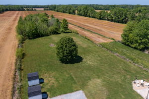  Photo 49