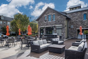  Photo 58