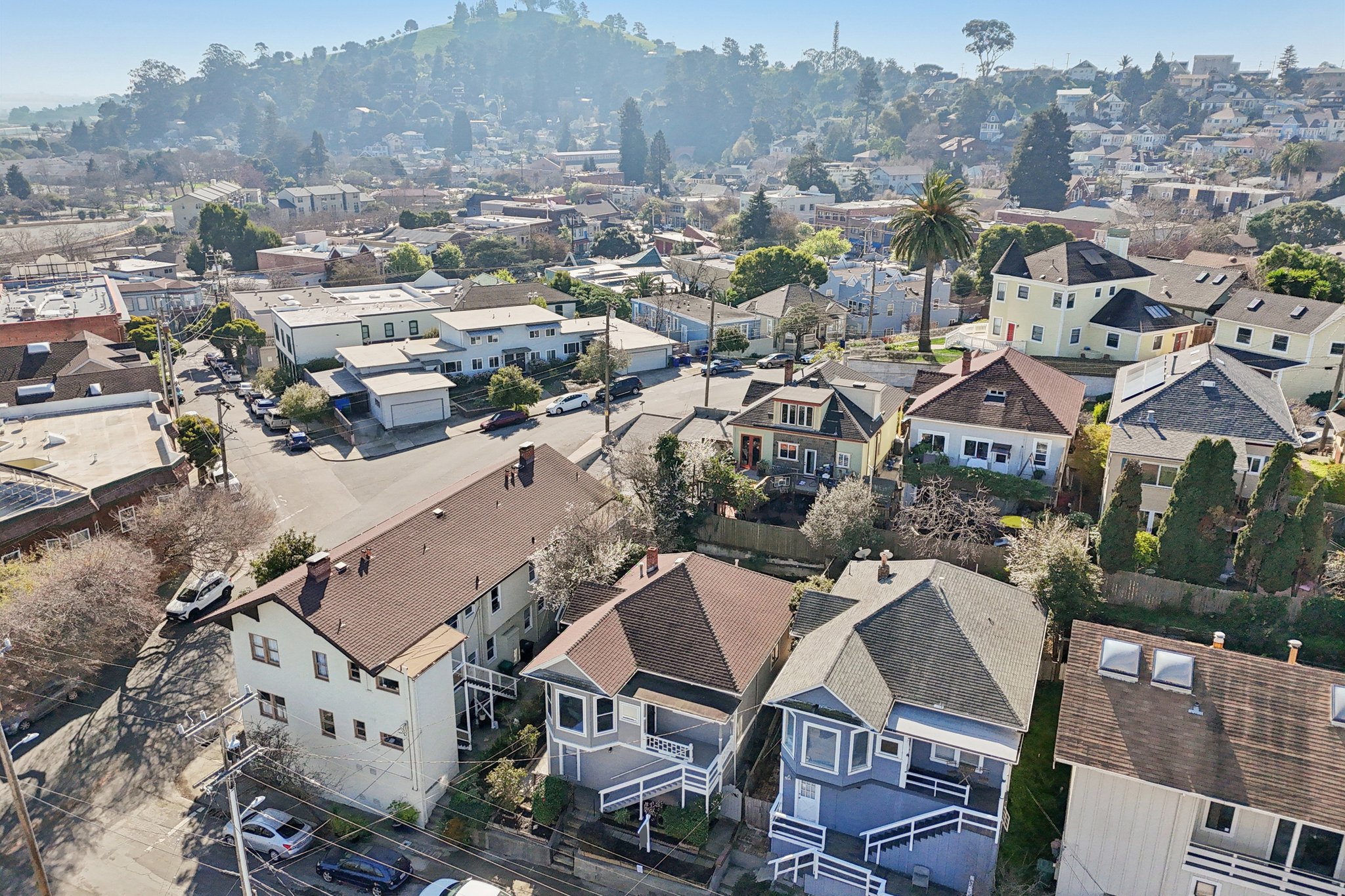 Delfino Ave-S0402-037.jpg