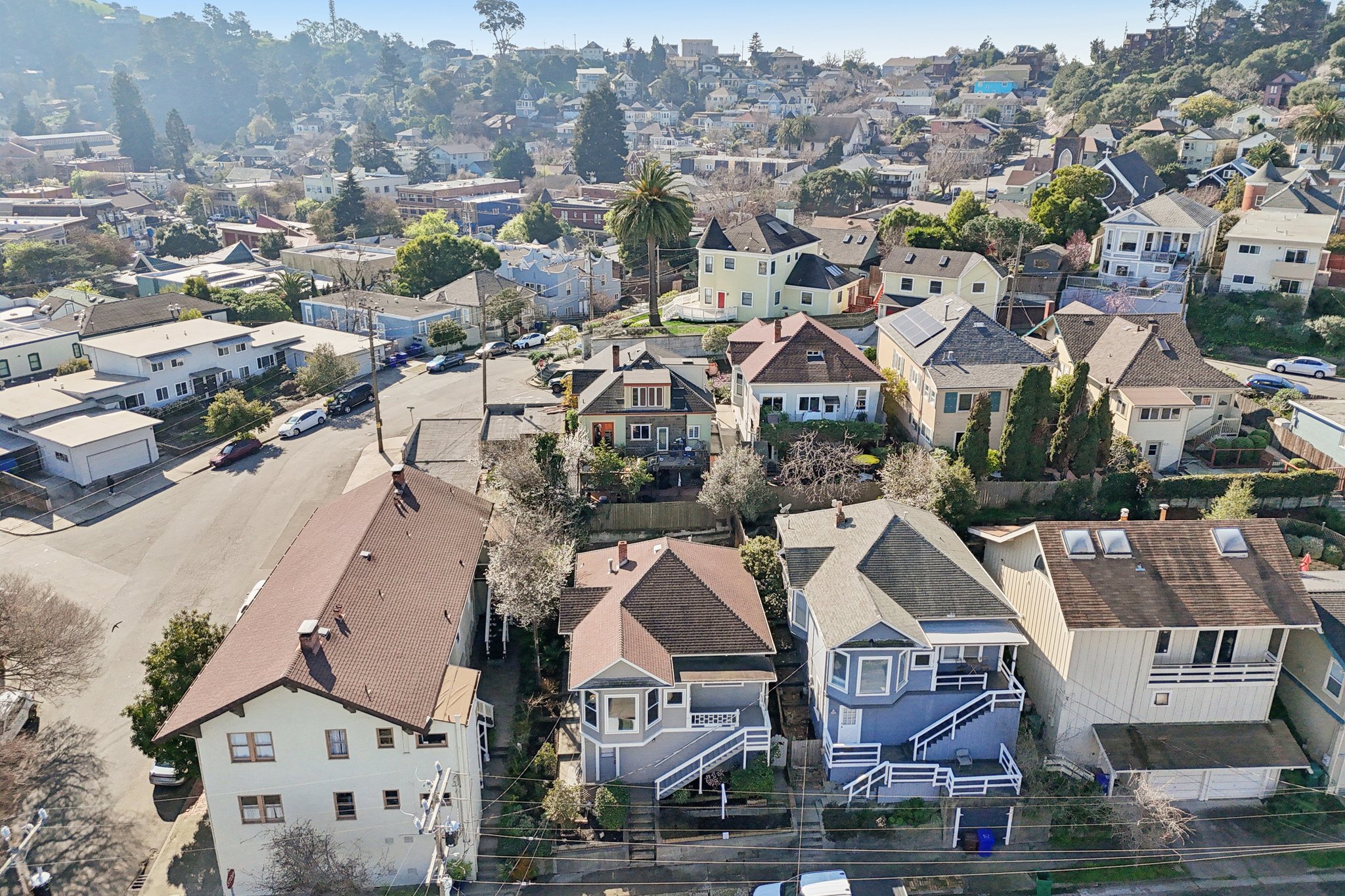 Delfino Ave-S0402-043.jpg