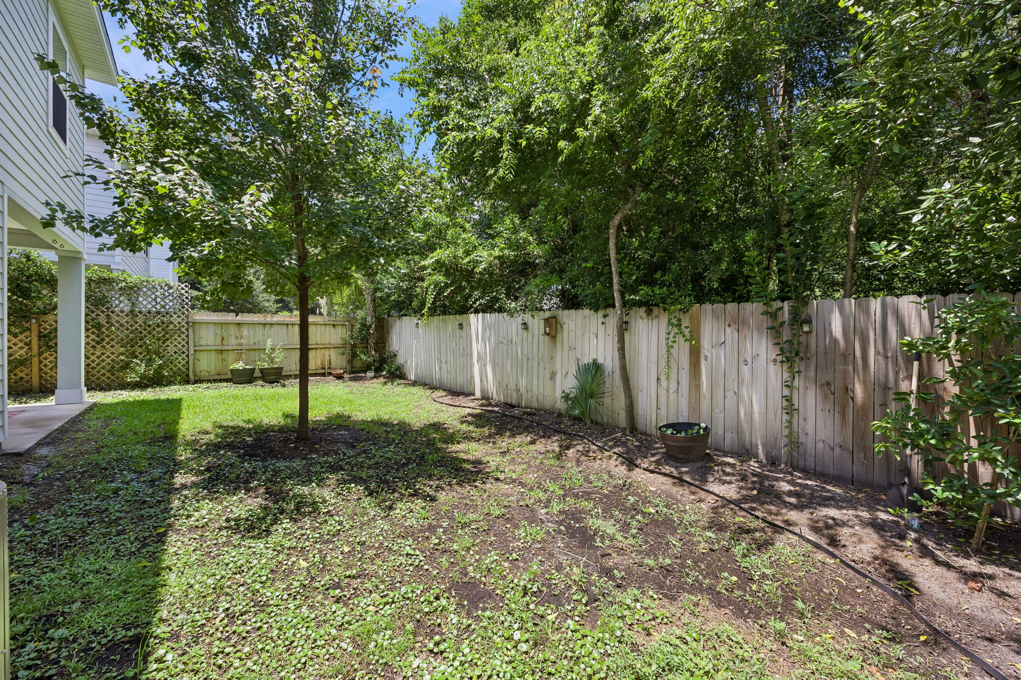 Backyard